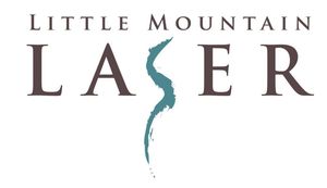 Little Mountain Laser LLC Logo