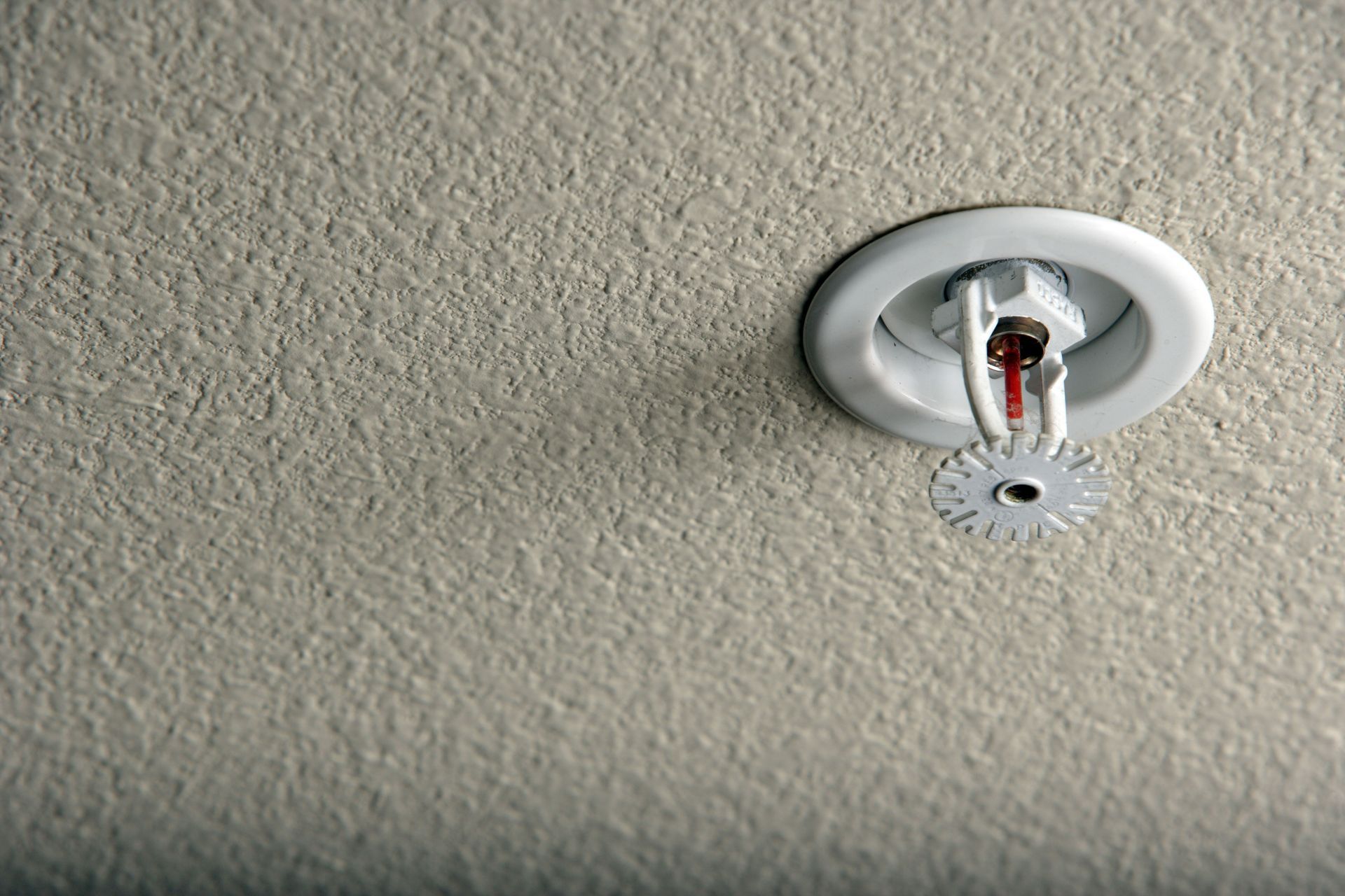 Fire sprinkler head mounted on a textured, light gray ceiling.