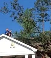 Two people on a white roof near a tall tree under a blue sky