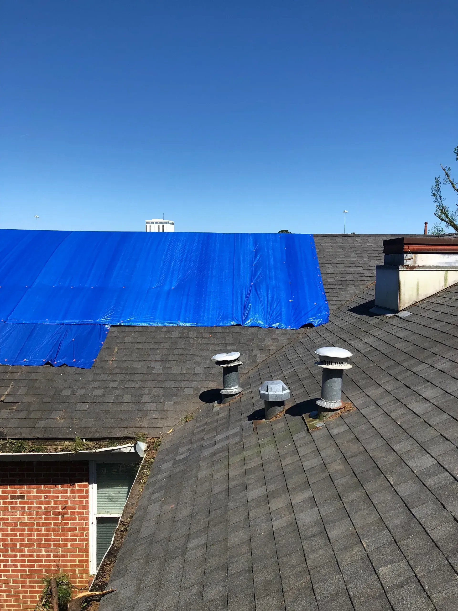 Blue tarp covering part of a rooftop with gray shingles and several vents under a clear blue sky