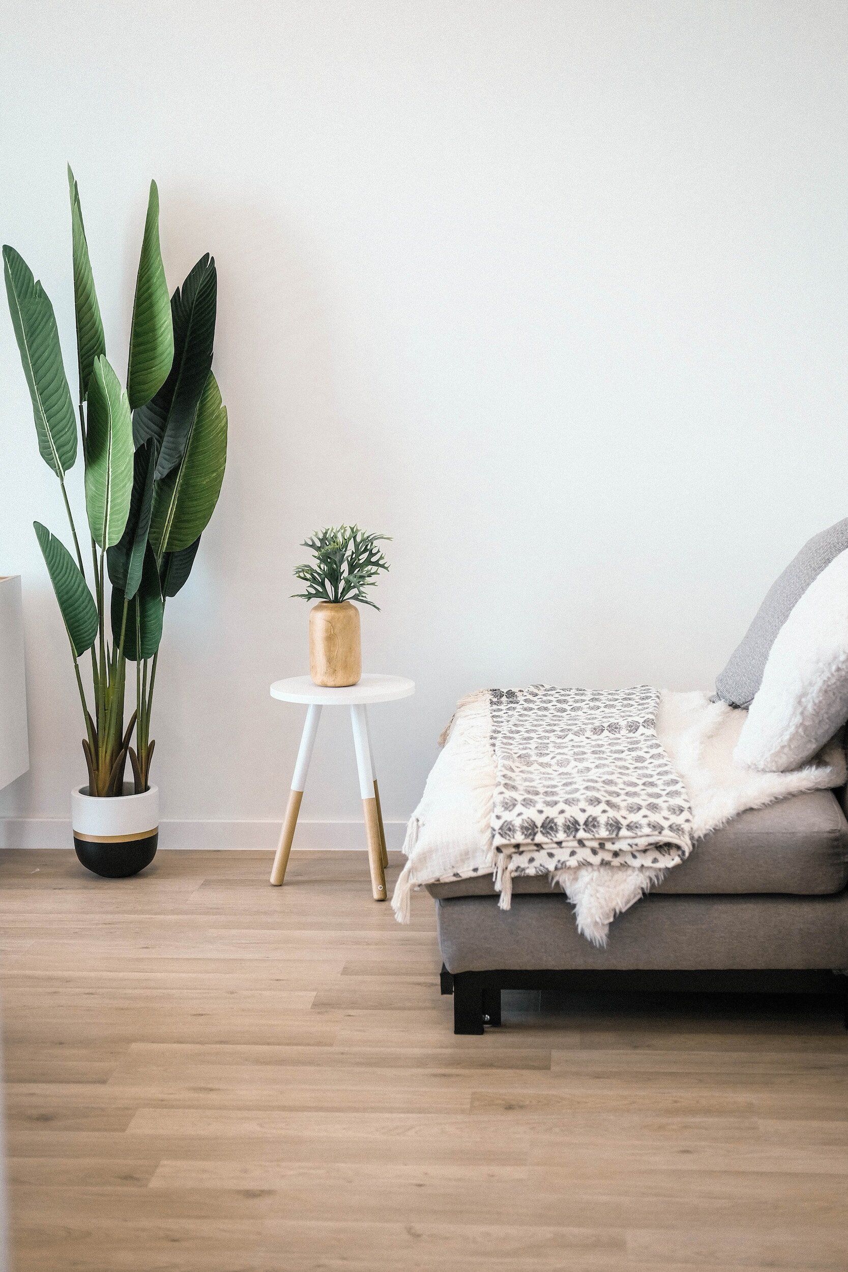 A living room with a couch, table, and potted plant.