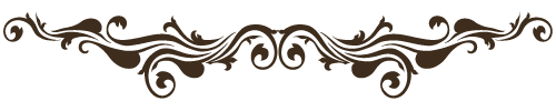Brown ornamental floral border with symmetrical swirls and leaves on a white background