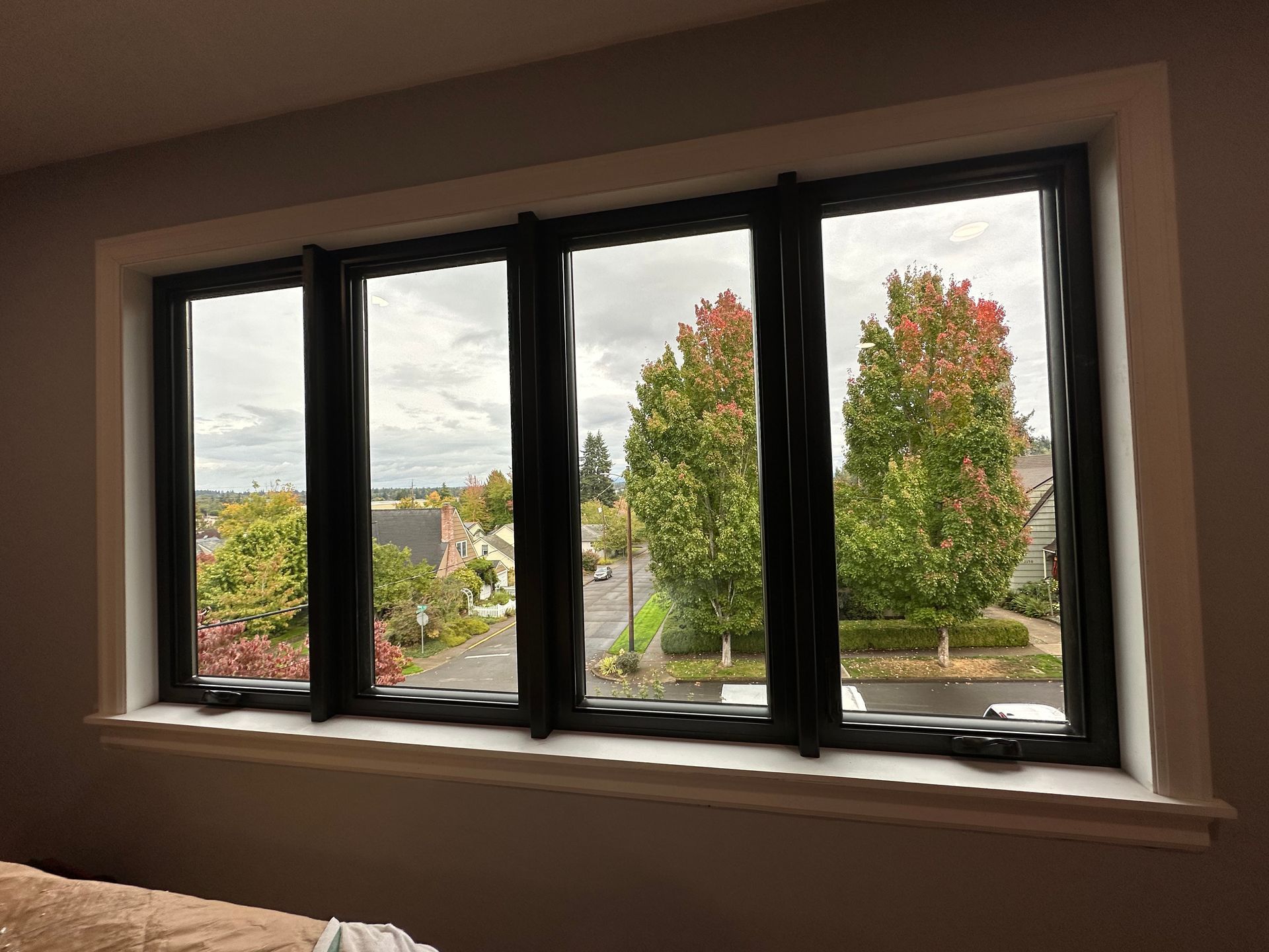 Four-pane window with a view of trees with fall foliage; window has dark frames and white trim.