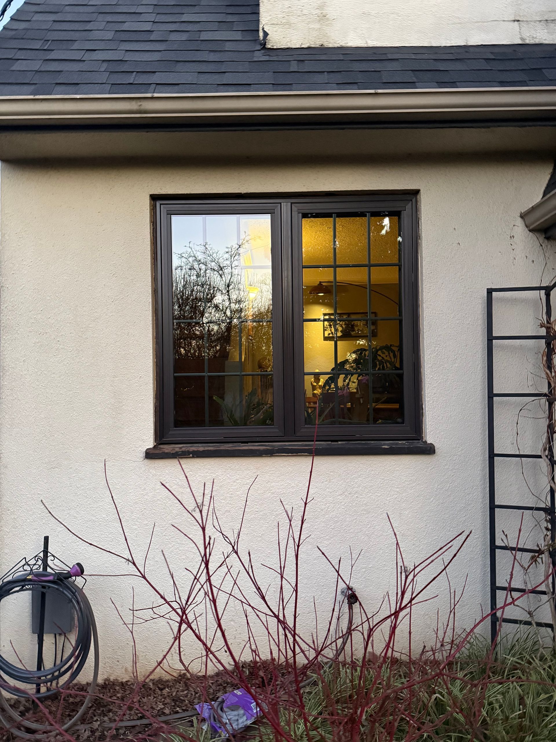 Dark-framed window on a stucco wall reflects foliage and interior light. Red-twigged shrubs in the foreground.