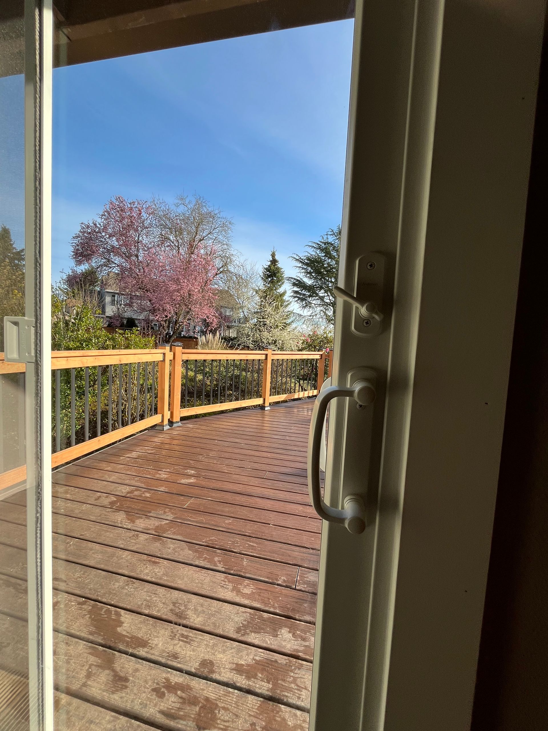 View from an open sliding glass door onto a wooden deck with a blossoming pink tree and a blue sky.