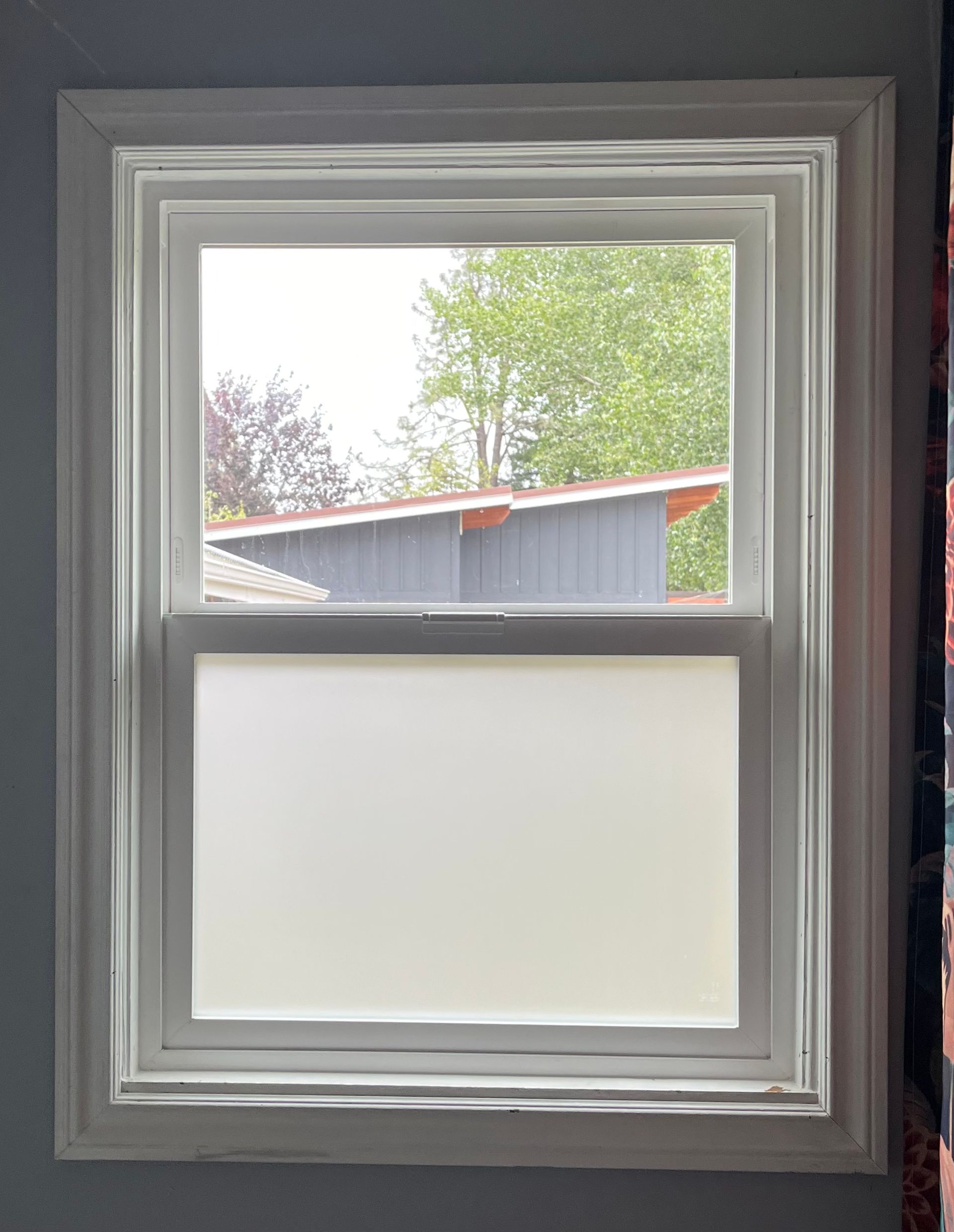 White window with frosted lower half, framing a view of trees and a house roof.
