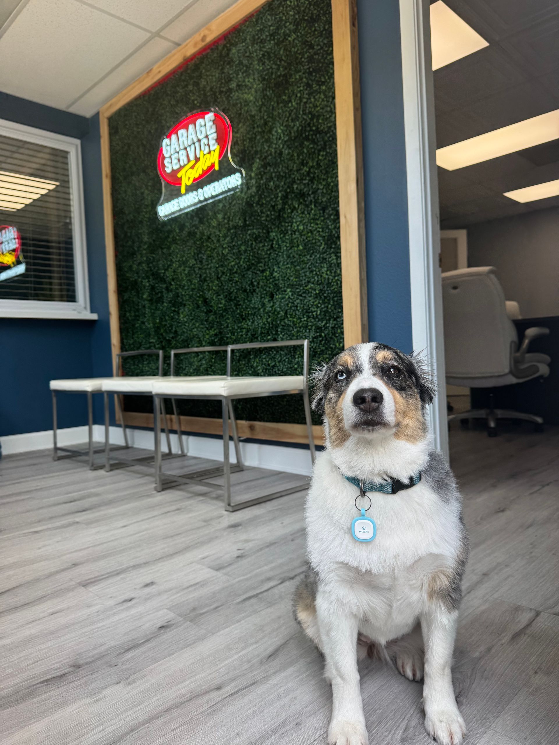 A dog is sitting in a waiting room in front of a sign that says garage repair