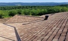 Complete moss cleanup