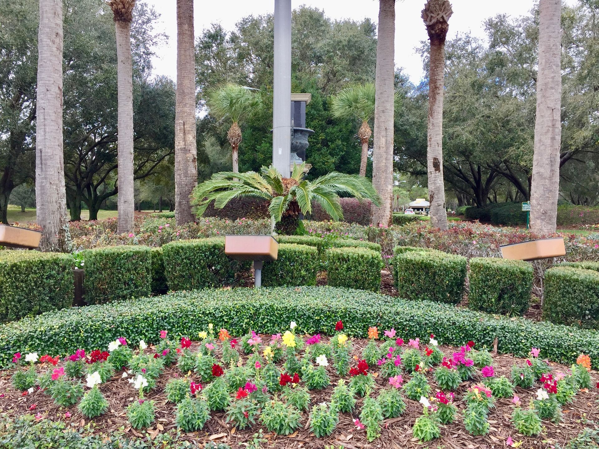 A garden with lots of flowers and trees in the background