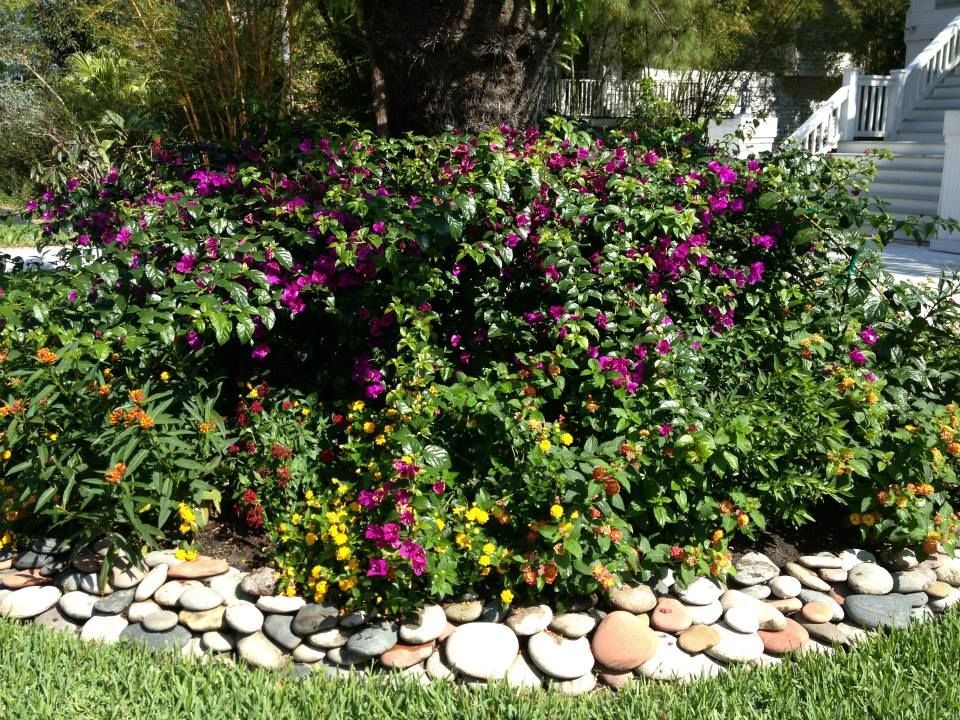 A garden with purple and yellow flowers and rocks