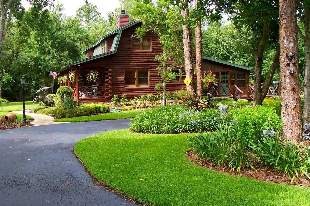 A log cabin in the middle of a lush green forest