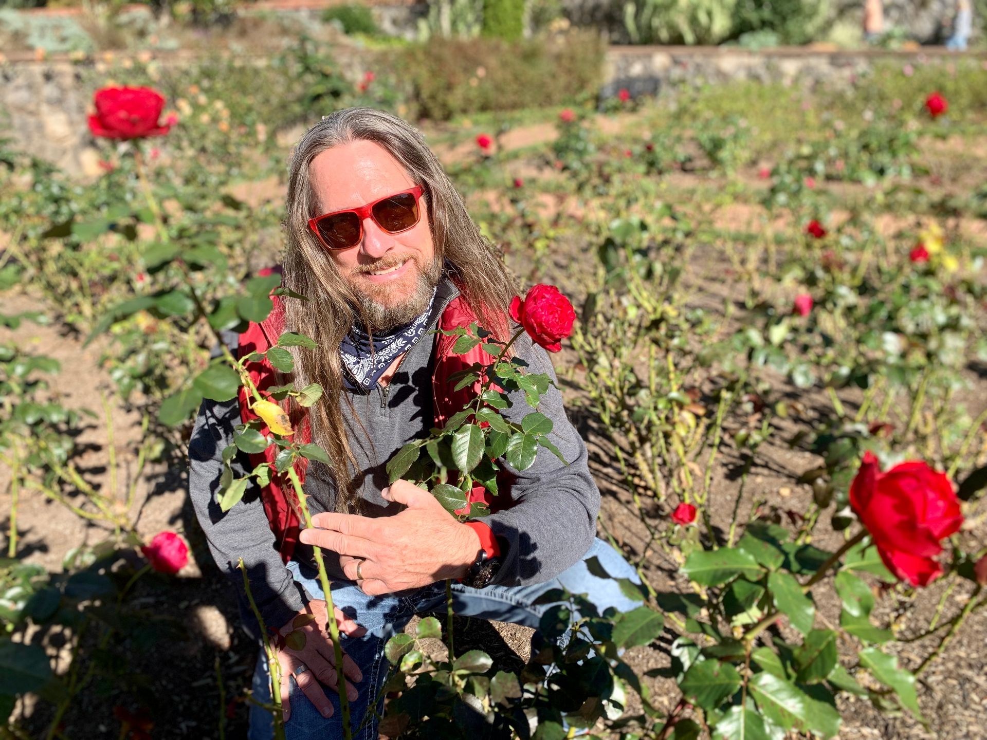 A man with long hair and sunglasses is kneeling in a field of roses.