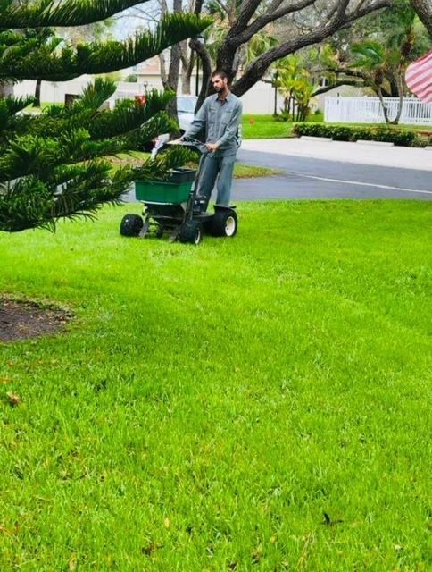 A man is spreading fertilizer on a lush green lawn with a wheelbarrow.