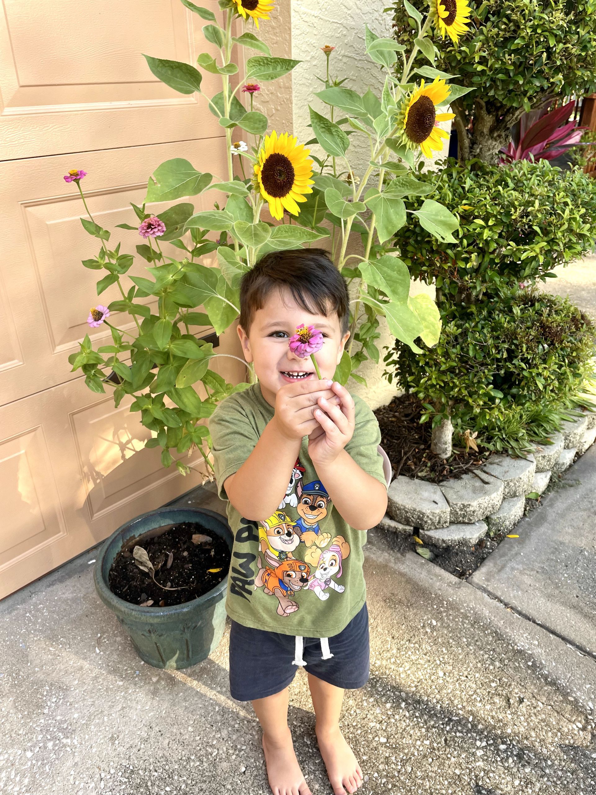 A little boy is standing in front of a sunflower plant.