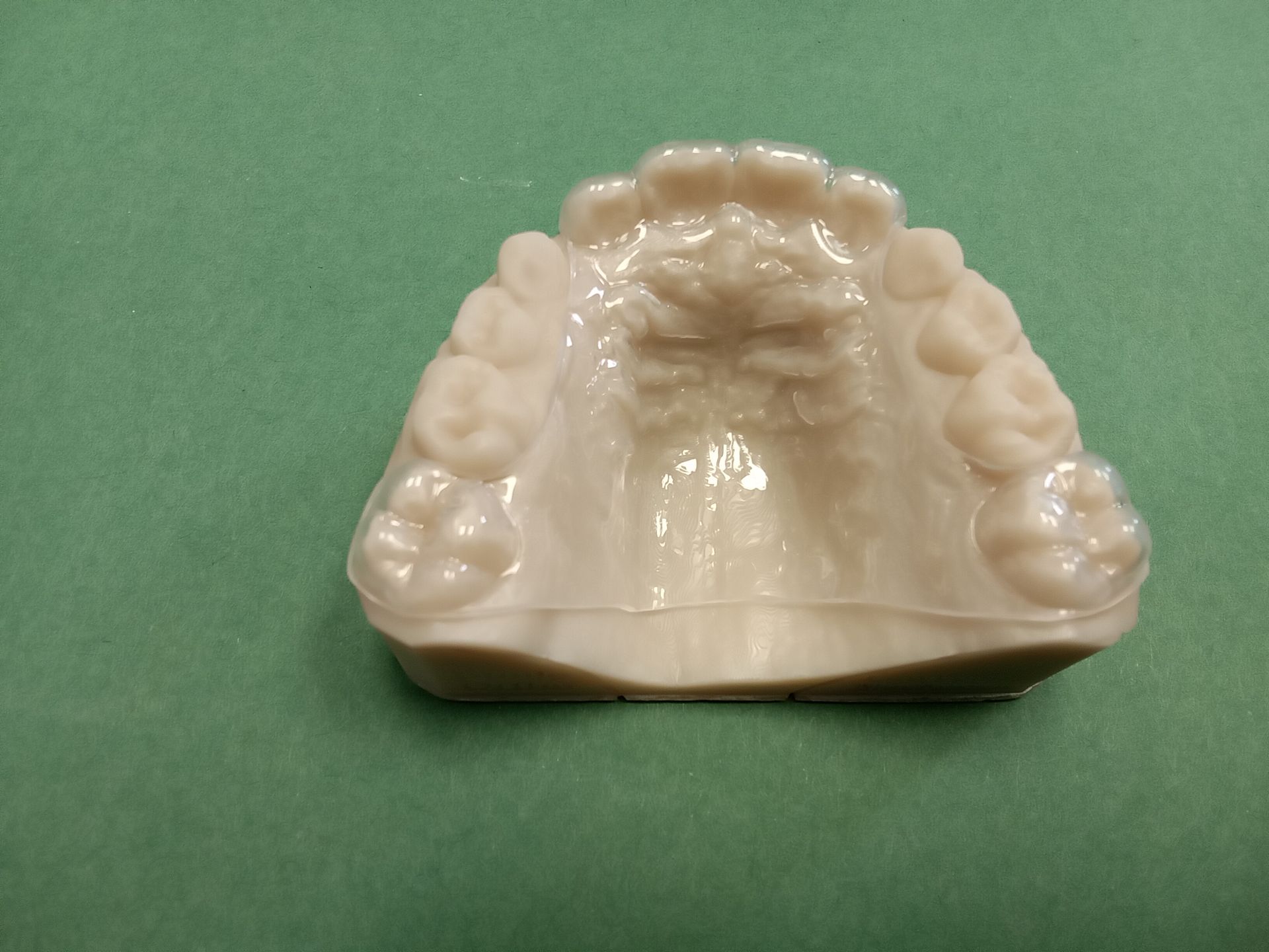 A close up of a tooth model on a green surface.