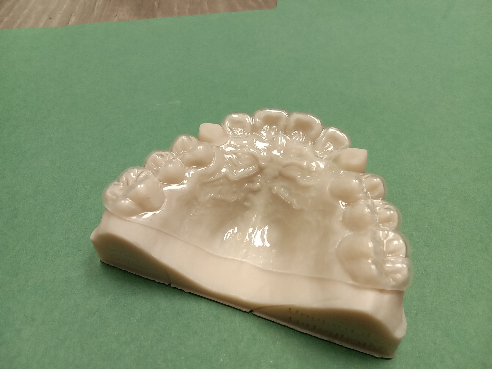 A model of a person's teeth is sitting on a green surface.
