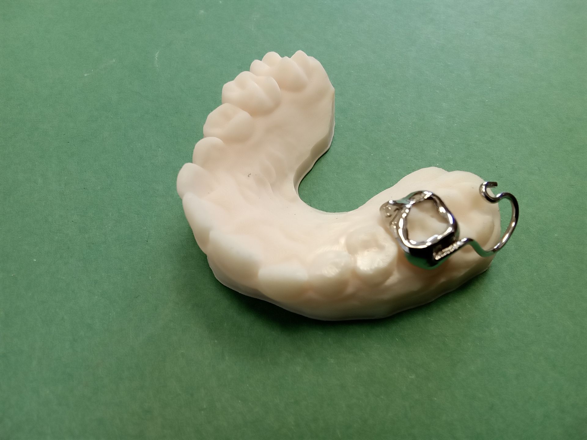 A model of a tooth with a metal ring on it is sitting on a green surface.