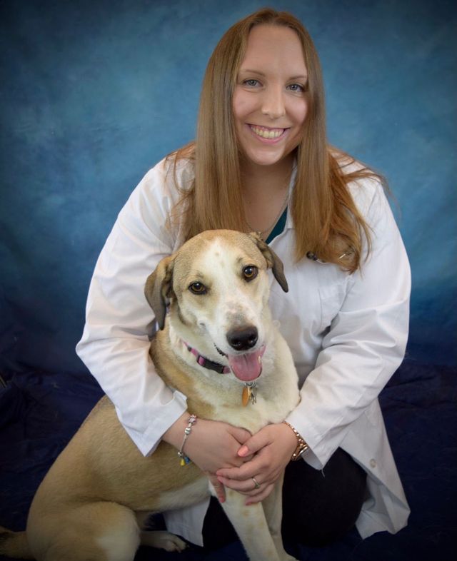 Clark County Veterinary Clinic Staff | Winchester, KY