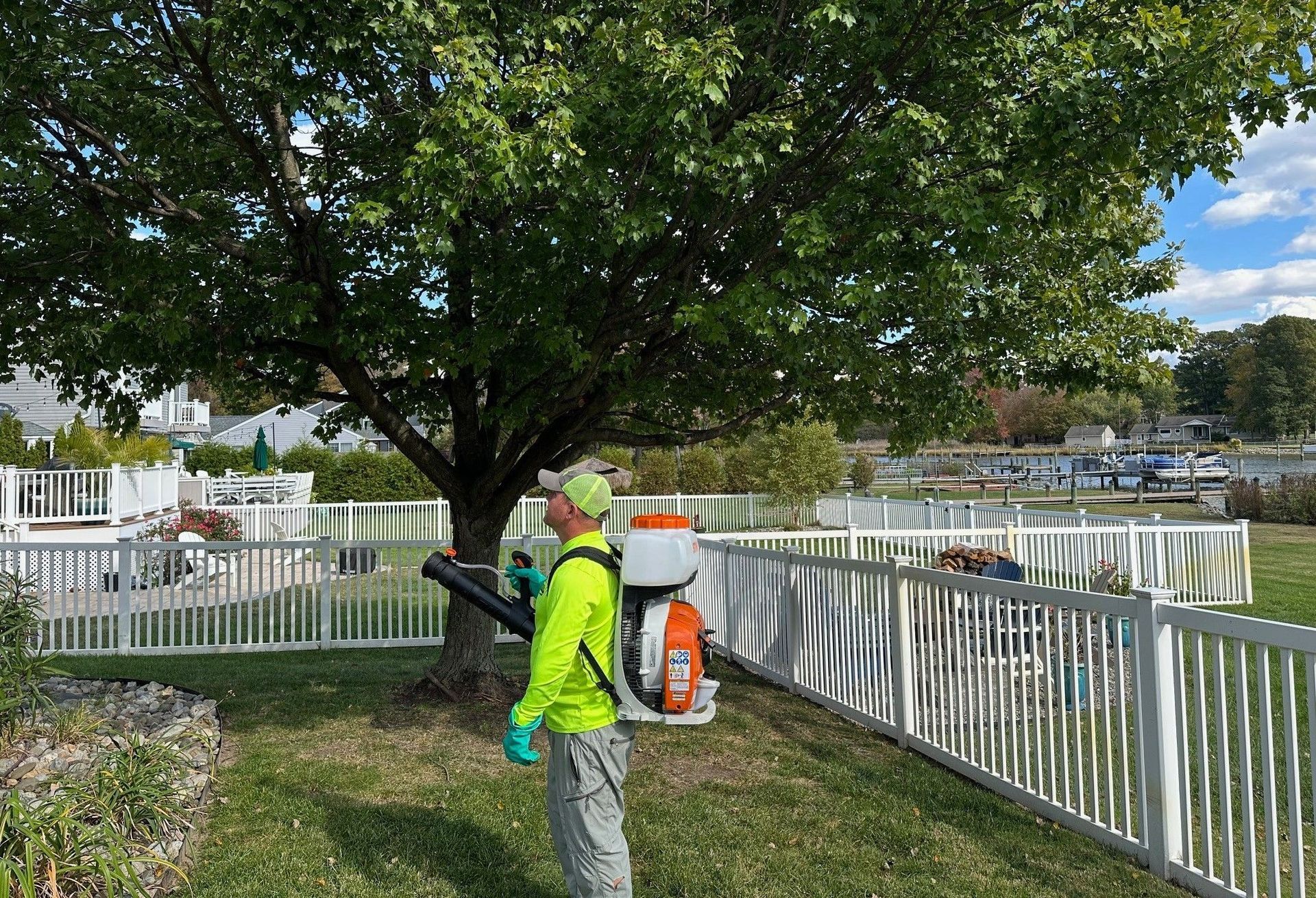 Superior Mosquito Control