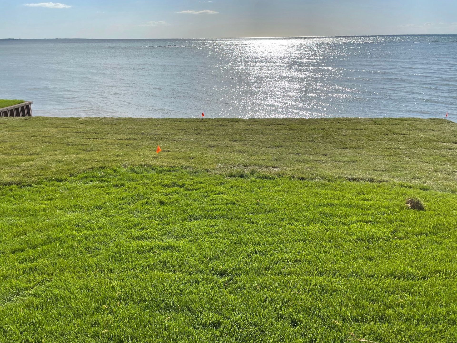 Quality Sod and Landscaping Products