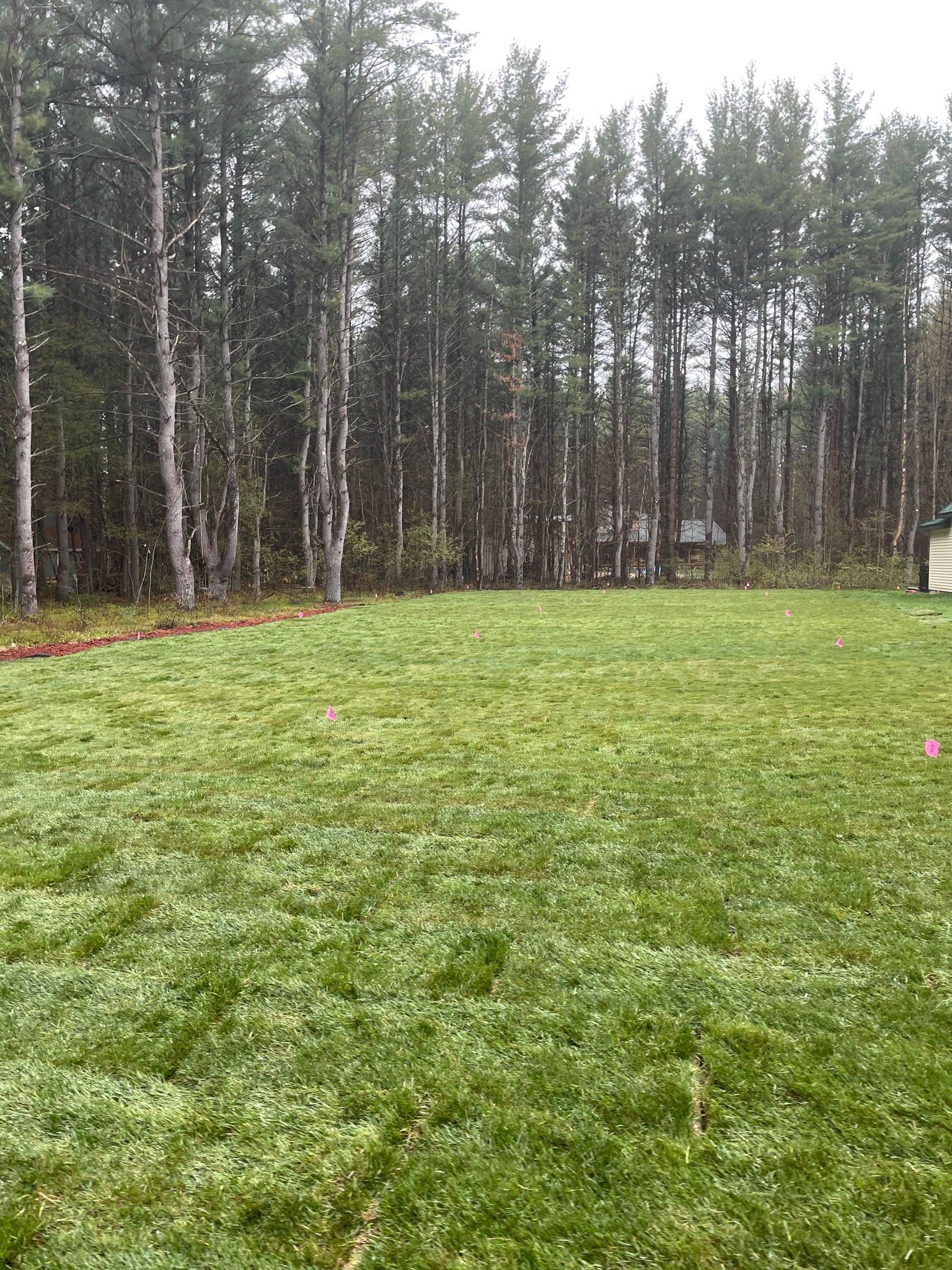 Quality Sod and Landscaping Products