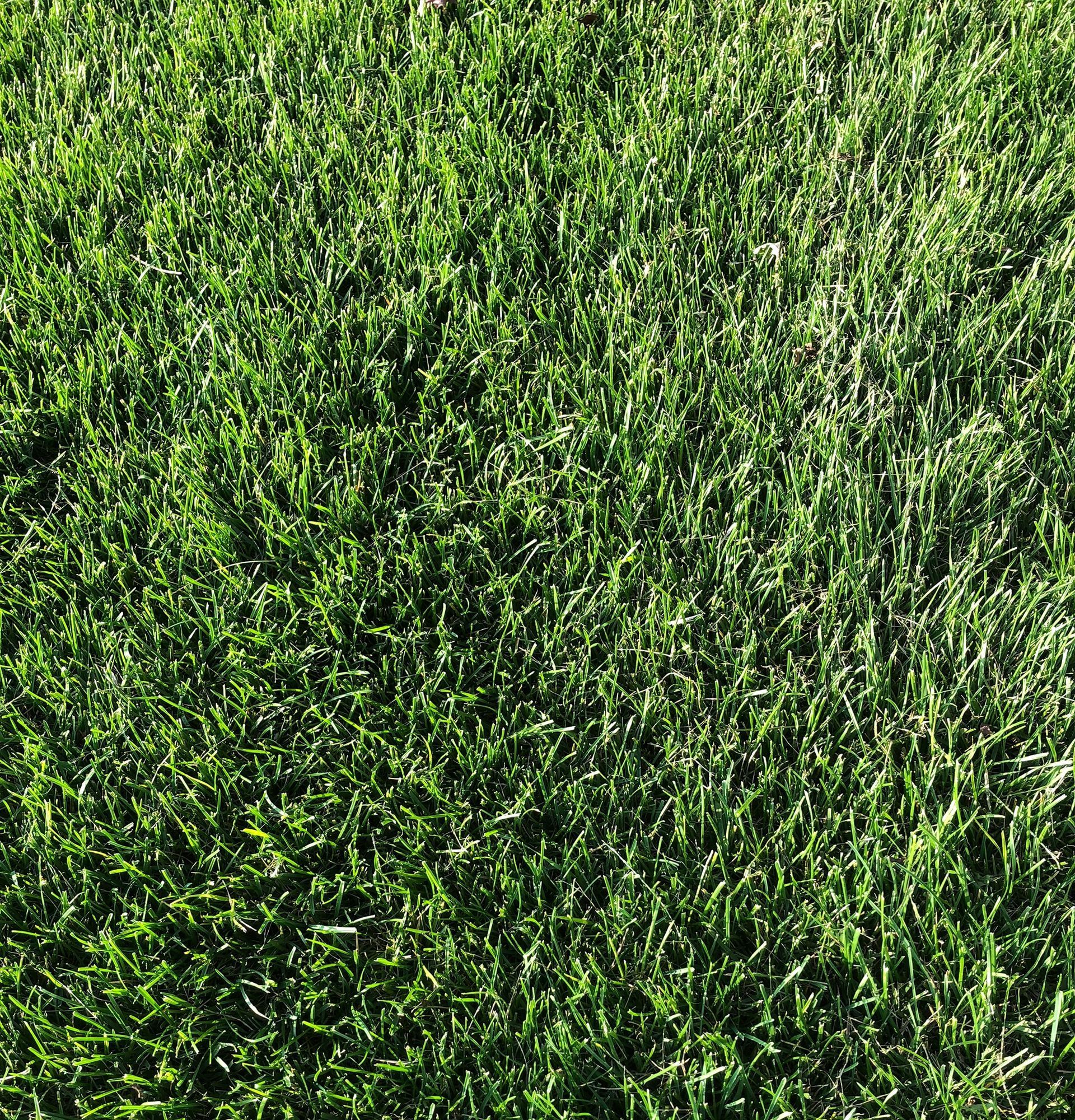 Quality Sod and Landscaping Products