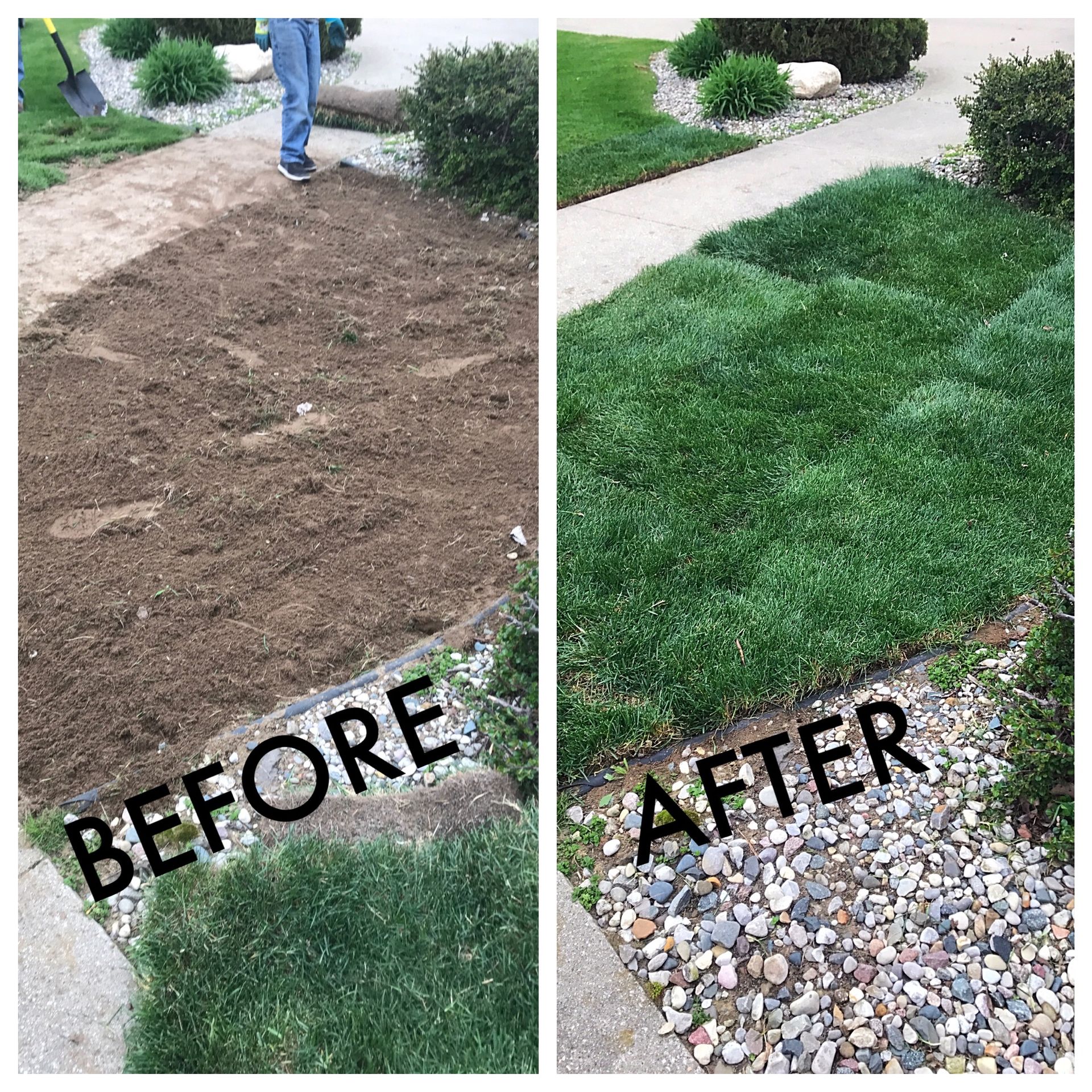 Before and After Sod Installation