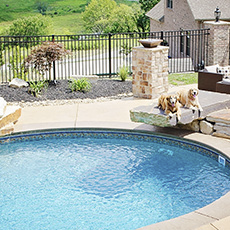 Round pool with two dogs resting on a stone ledge. Black fence, stone pillar with a bowl. Green yard in background.