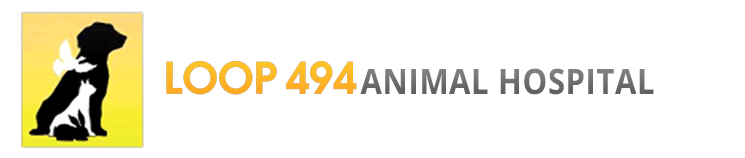 loop-494-animal-hospital-logo-1920w