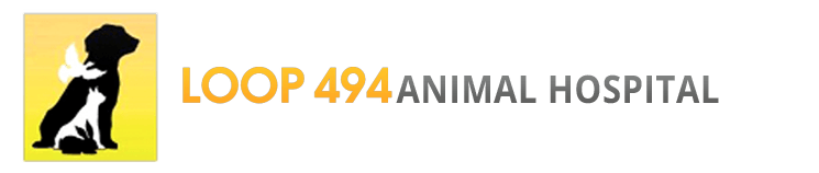 Loop 494 Animal Hospital - logo
