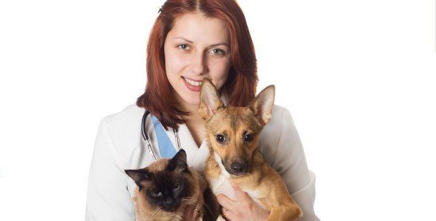 Doctor with Cat and Dog