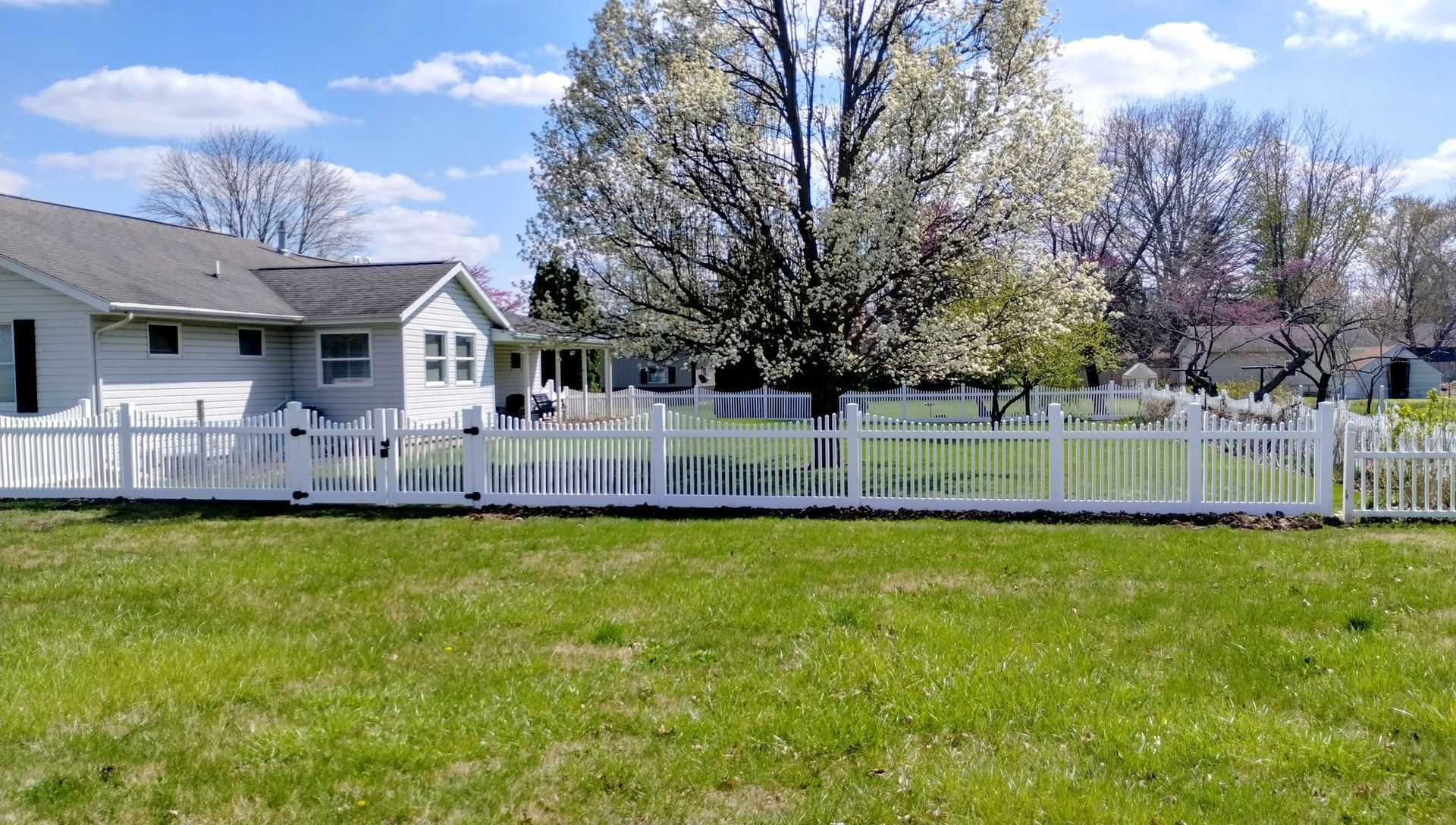 A white picket fence runs across a sunny, grassy lawn in front of a white house with a large, blooming tree.