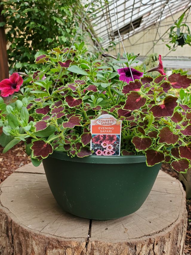 Kelli Green Garden Center | Gardening Supplies | Marietta, GA