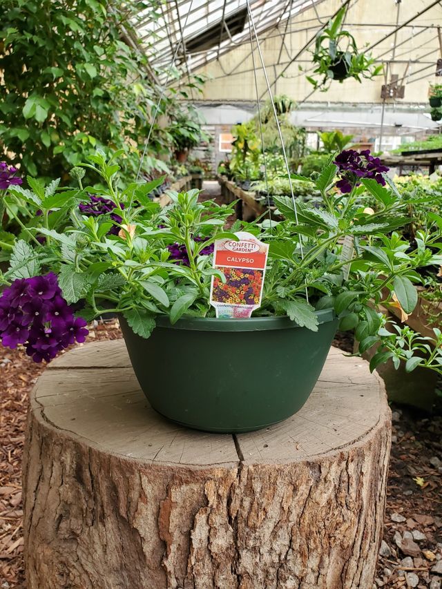 Kelli Green Garden Center | Gardening Supplies | Marietta, GA
