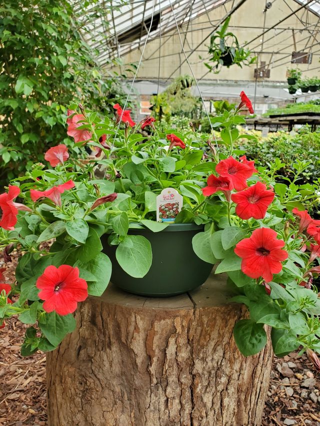 Kelli Green Garden Center | Gardening Supplies | Marietta, GA