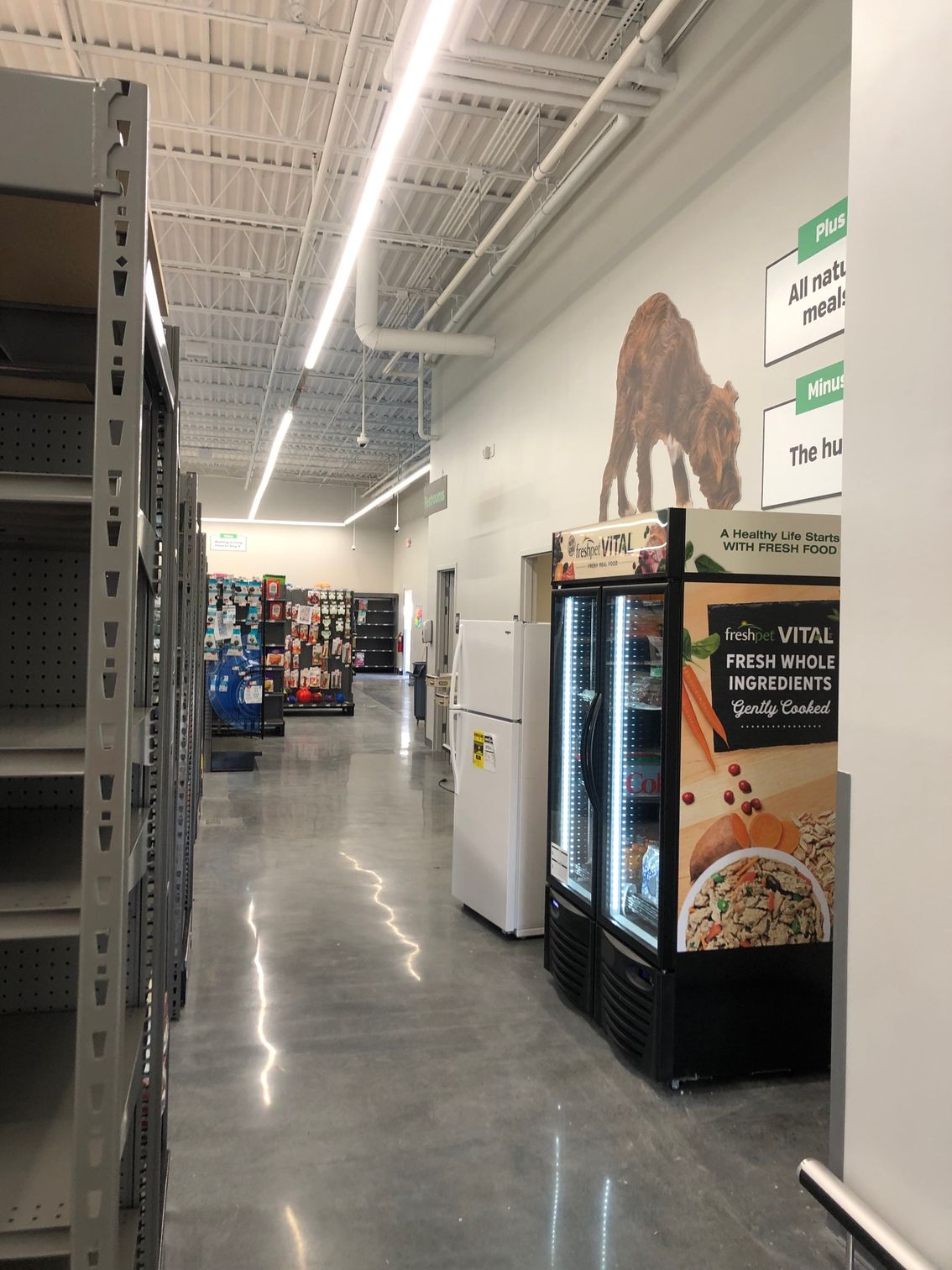 a refrigerator in a store with a picture of a donkey on the wall