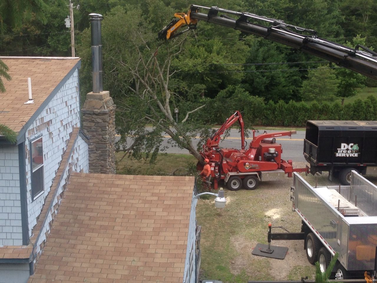 Tree removal