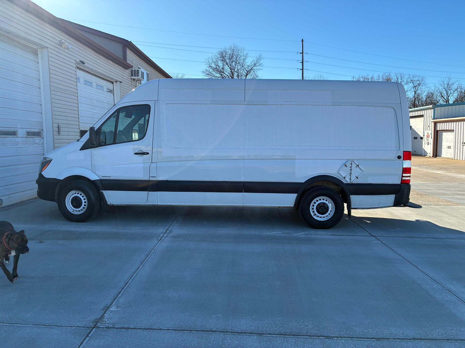 White cargo van parked beside a building on a sunny street, with a small dog at the lower left edge.