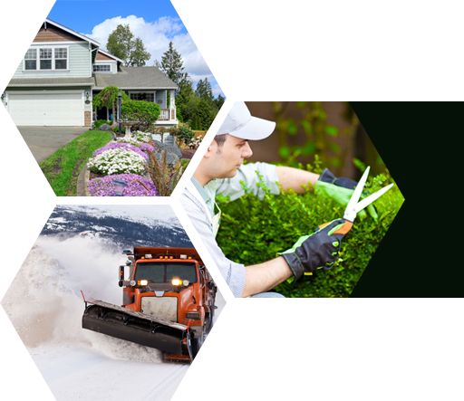 Trimming shrubs, Flower beds