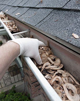 Gutter cleaning