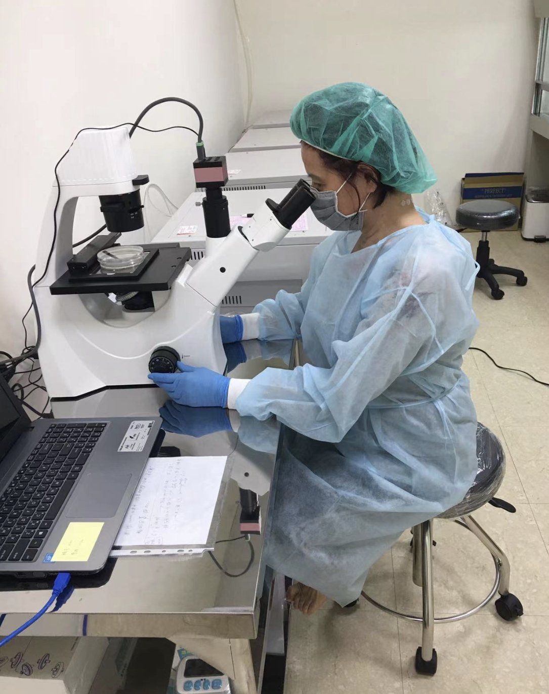 Inside the Laboratory