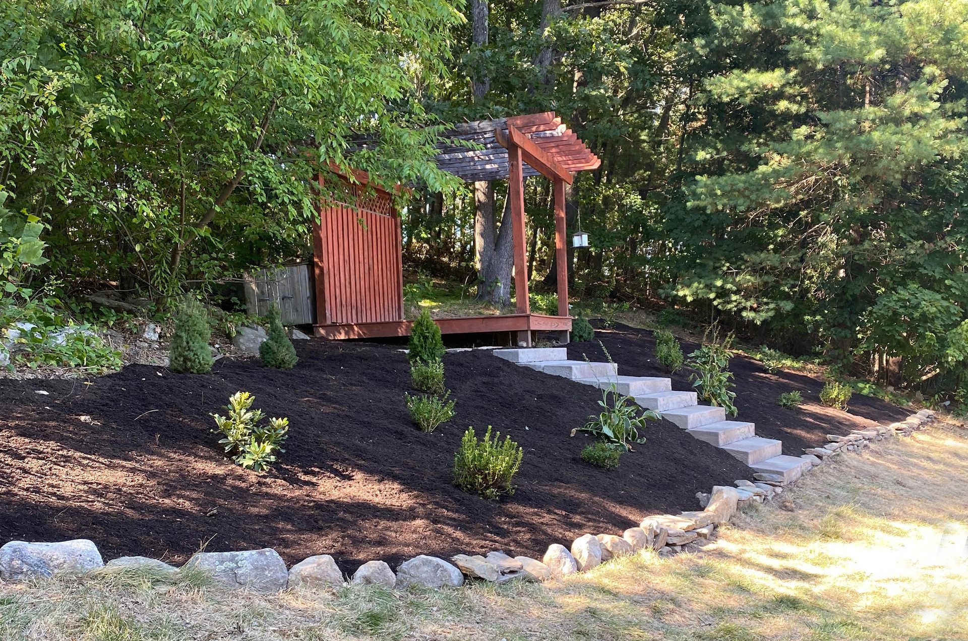 Lush green lawn in front of a house, surrounded by bushes and trees, with sunlight shining.