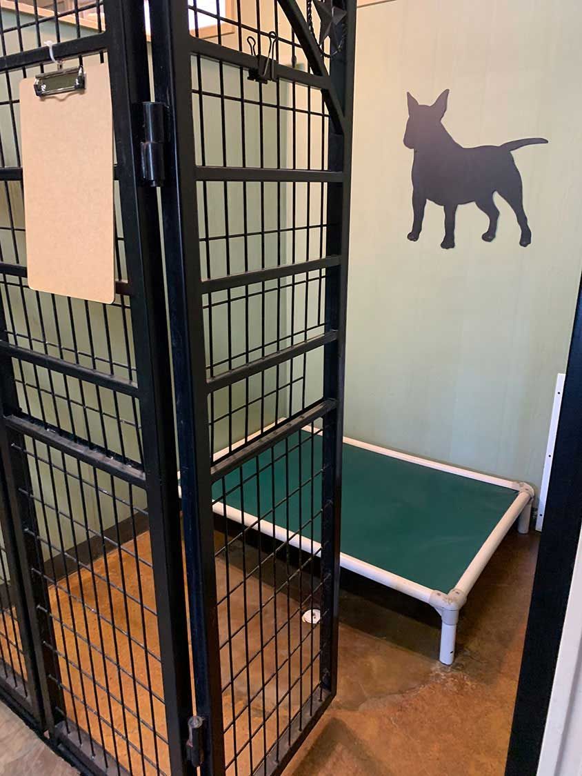 Dog Boarding Athens, TX Tyler, TX