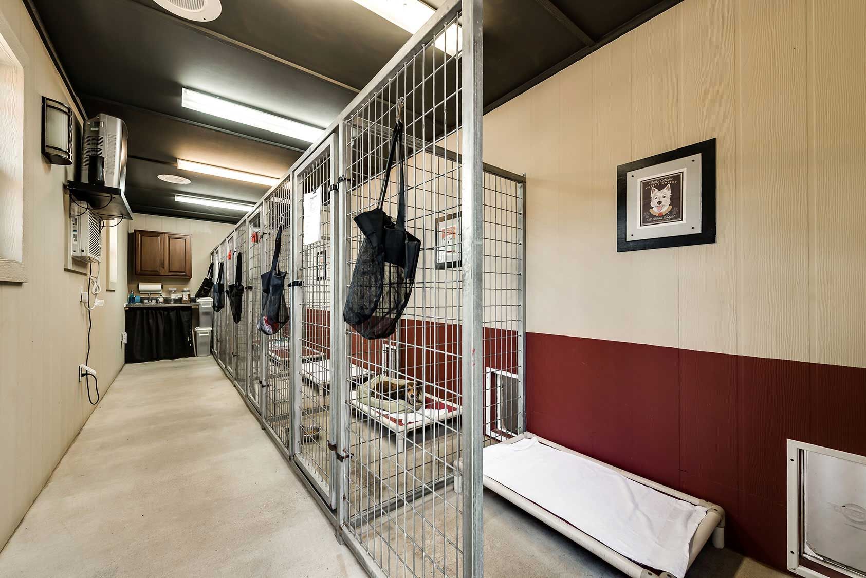 Dog Boarding Athens, TX Tyler, TX