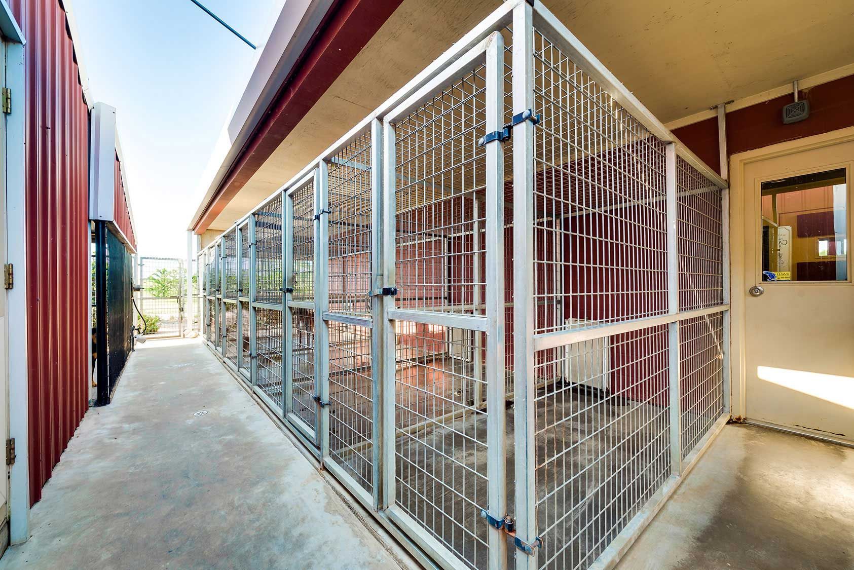 Dog Boarding Athens, TX Tyler, TX