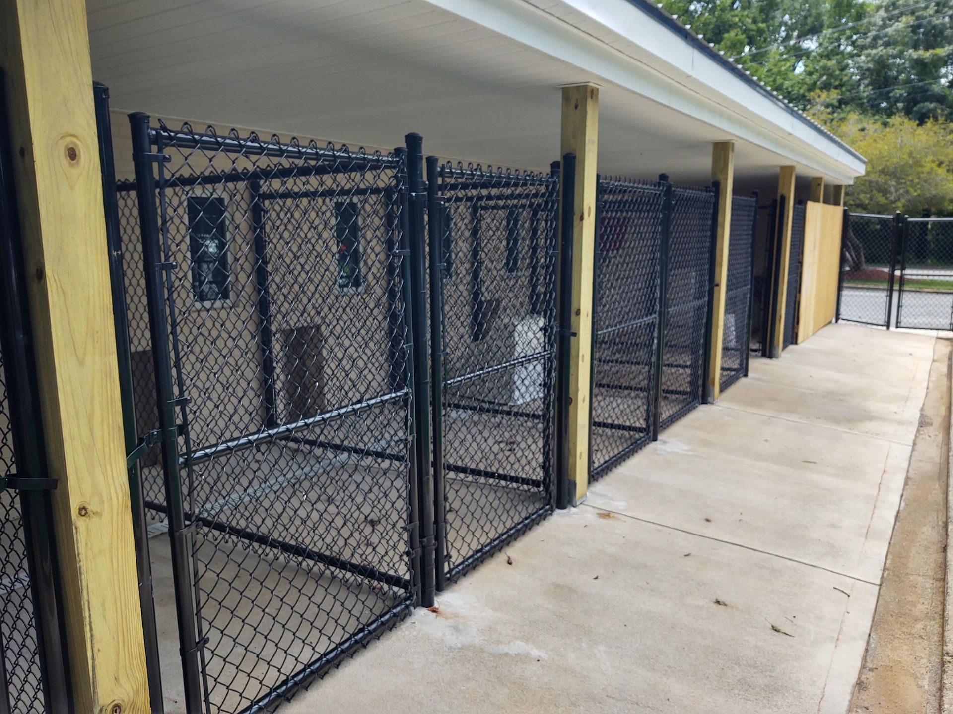 a row of chain-link fenced-in dog kennels