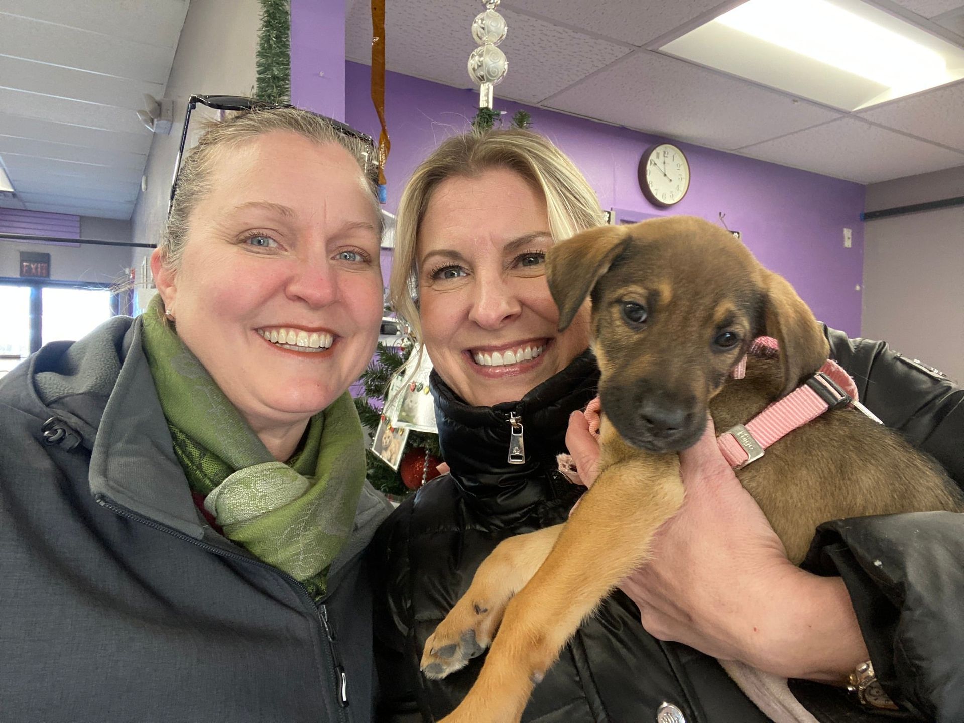 Two women smile holding a brown puppy wearing a pink collar in a room with a purple wall.