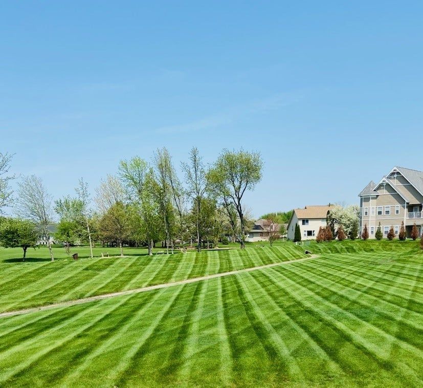 Brick walkway leading to a house with steps and planters, lined with flowers.
