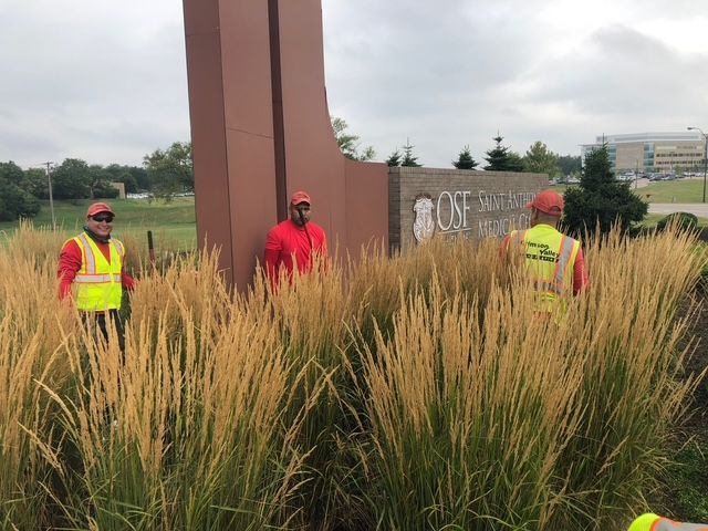 Three workers in bright safety vests stand behind tall ornamental grasses in front of a modern campus monument sign.
