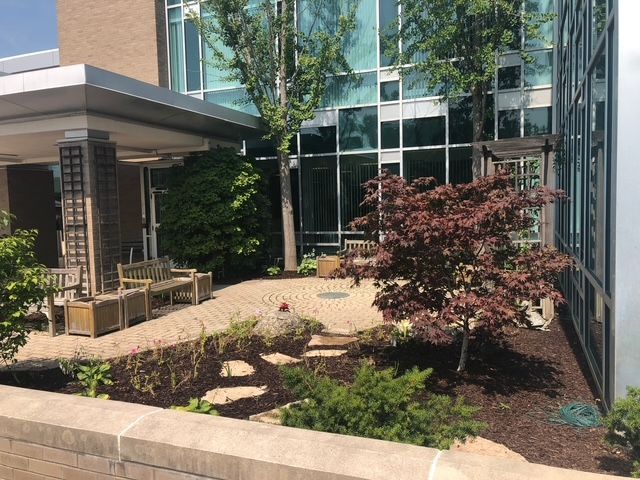 A sunny outdoor courtyard with a stone patio, wooden benches, a small Japanese maple tree, and glass building walls.